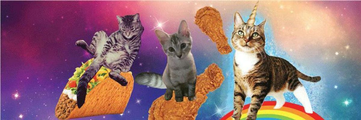 Discovery splash banner for Maow 😺 | Social & Gatitos Discord server