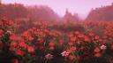 Discovery splash banner for hole Discord server