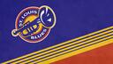 Discovery splash banner for St. Louis Blues Discord server