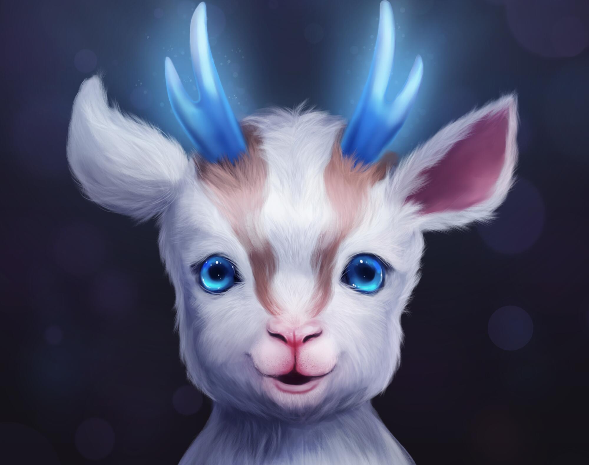 Discovery splash banner for Dododex Discord server