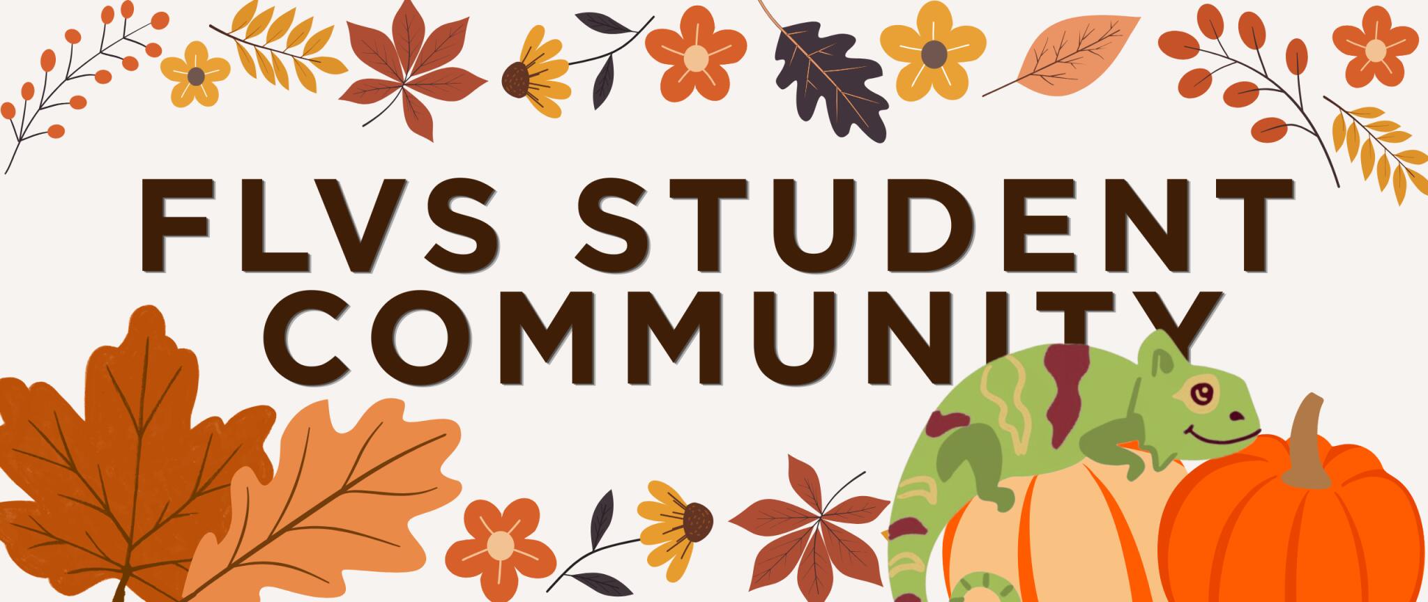 Discovery splash banner for FLVS Student Community Discord server