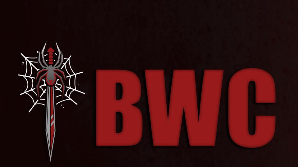 Discovery splash banner for Black Widow Company Discord server