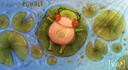 Discovery splash banner for KUHALE ππΈ | Art Community β€ Art Commissions β€ Buy Art β€ Art Trades β€ Events β€ Games Discord server