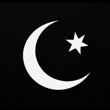 Discovery icon for Pakz › Pakistan Discord server