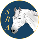 Discovery icon for SSO Region Accounts Discord server